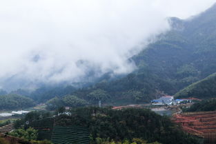 2016浙江武義元宵行 二