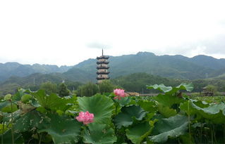 聚焦 兩美 浙江 網(wǎng)媒記者走進(jìn)武義縣 美景沒看夠組團(tuán)再來