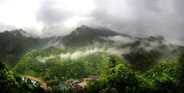 華東地區(qū)首家3d特效玻璃棧道落座武義牛頭山,五一小長(zhǎng)假免費(fèi)玩