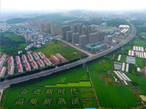 武義 小縣大城 打開(kāi)發(fā)展新空間