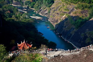 武義山上瞎拍拍專輯 無(wú)名小鳥(niǎo)