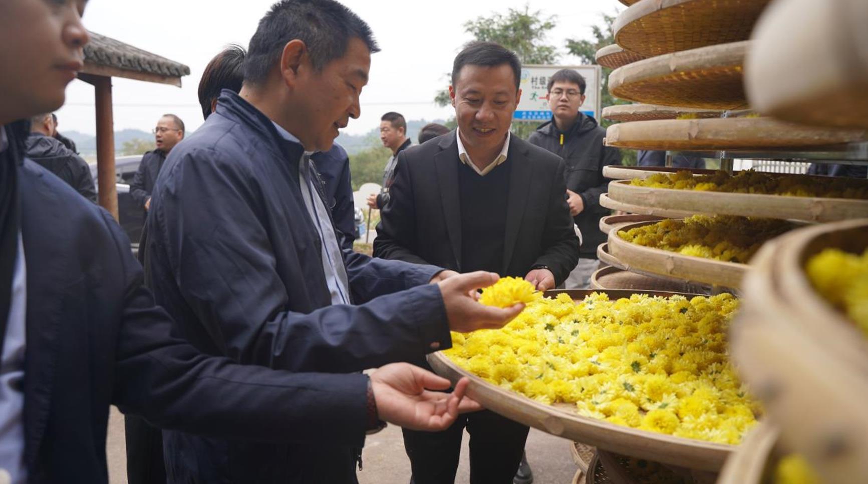 金華市綜合行政執(zhí)法局帶隊(duì)赴武義白衣坑村開(kāi)展“千團(tuán)聯(lián)千村”結(jié)對(duì)幫扶活動(dòng)