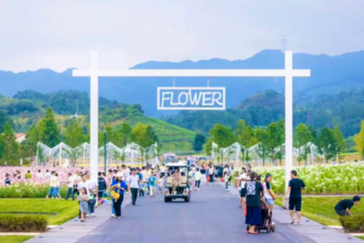 浙江金華武義:黨派助鄉興實踐 繪就鄉村新畫卷