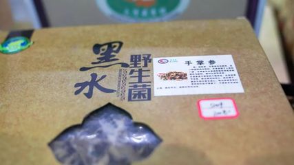 看到流口水！海寧農(nóng)博會開幕，183個展位新設(shè)特色小吃區(qū)，最全逛吃攻略送上